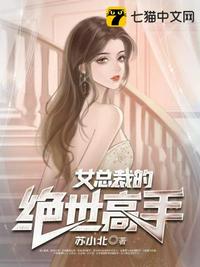 女总裁的绝世高手